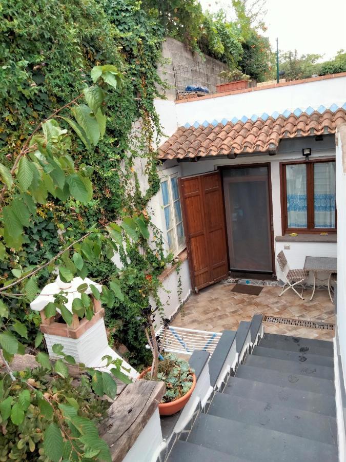Casa Rustica Lägenhet Dorgali Exteriör bild